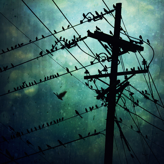 Variations in Prose: Fiction, Memoir, & Essays