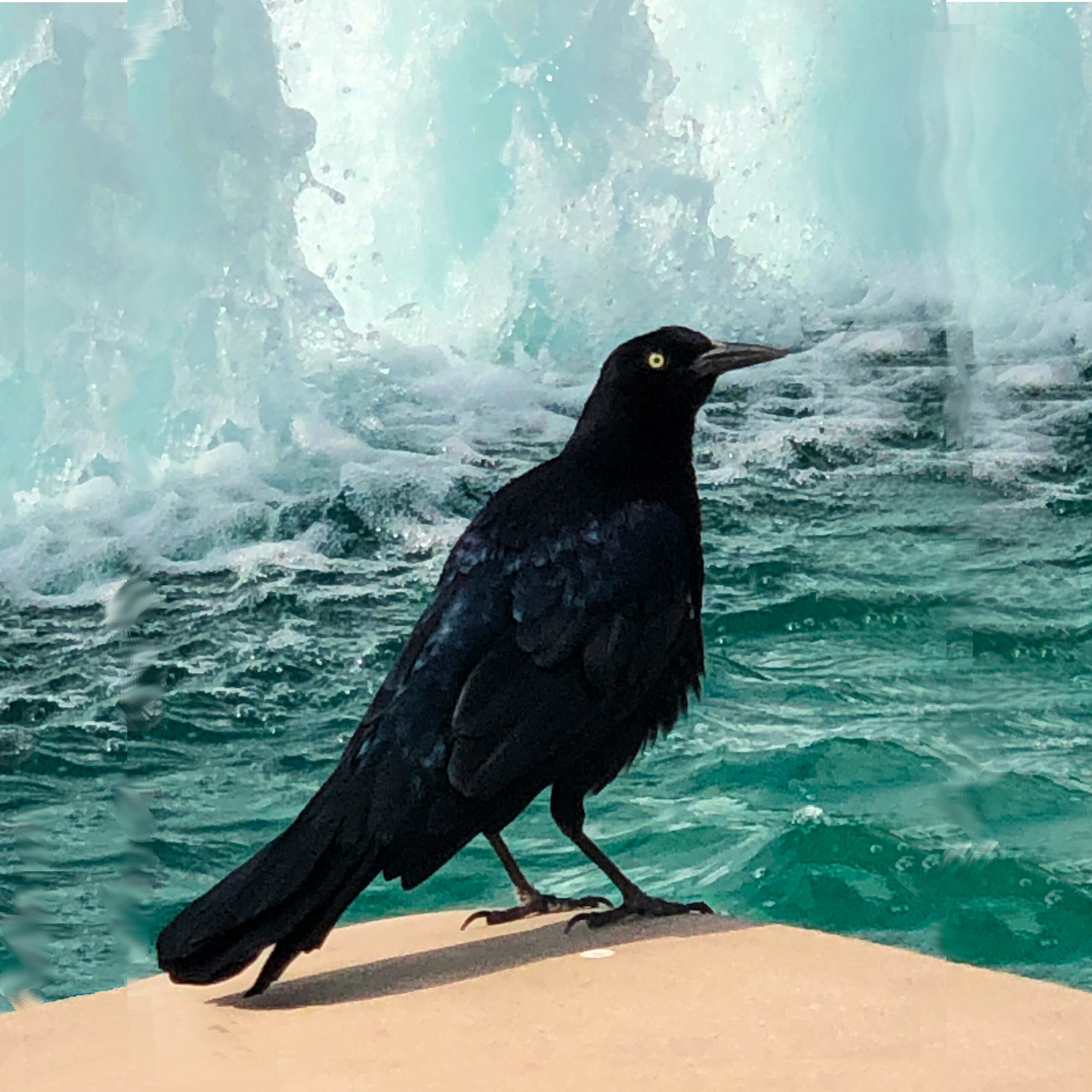 Living Attentively: Journaling from Poetry and Observation